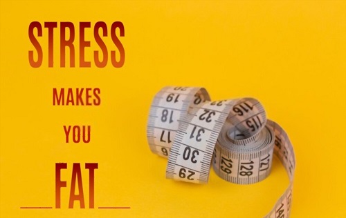 Why Does Stress Make You Fat